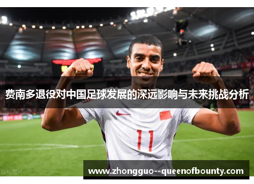 费南多退役对中国足球发展的深远影响与未来挑战分析