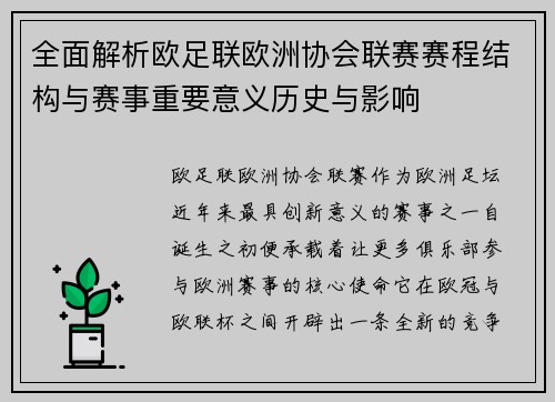 全面解析欧足联欧洲协会联赛赛程结构与赛事重要意义历史与影响